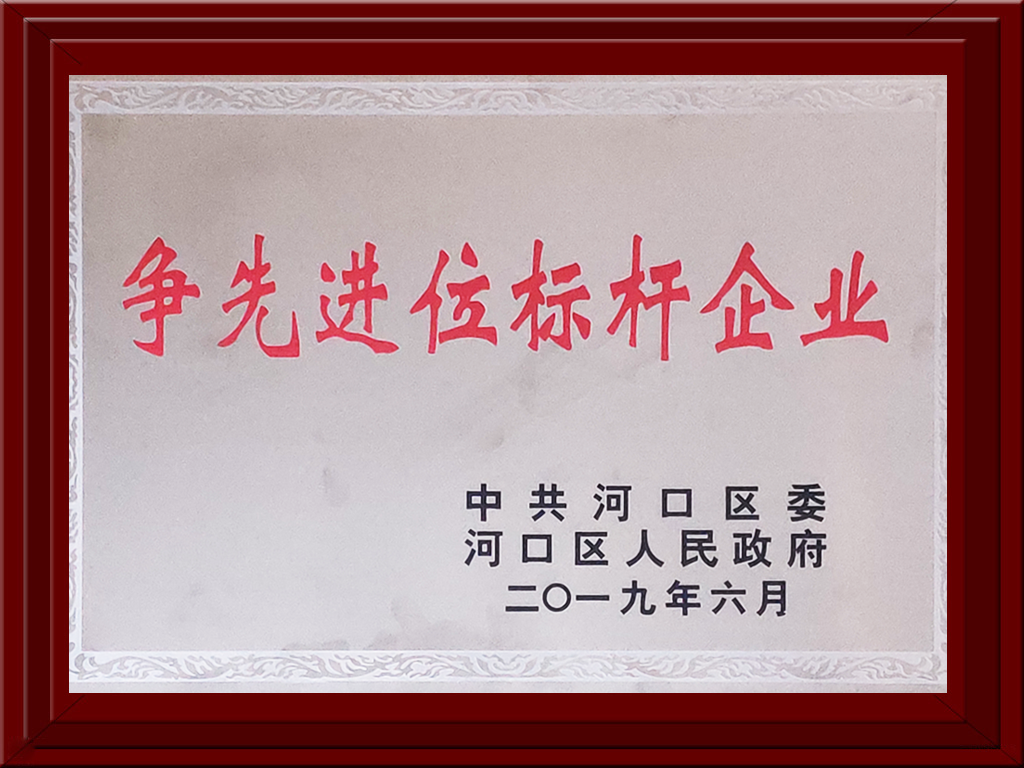 2019年河口區(qū)爭先進(jìn)位標(biāo)桿企業(yè)獎(jiǎng)