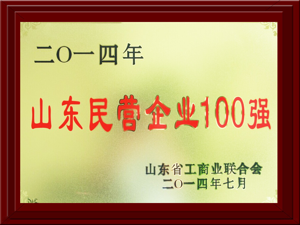 2014.07.09民營企業(yè)100強(qiáng)