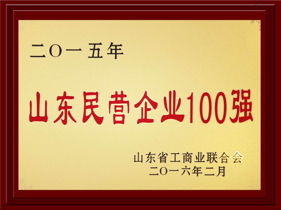 2015年度民營企業(yè)100強(qiáng)