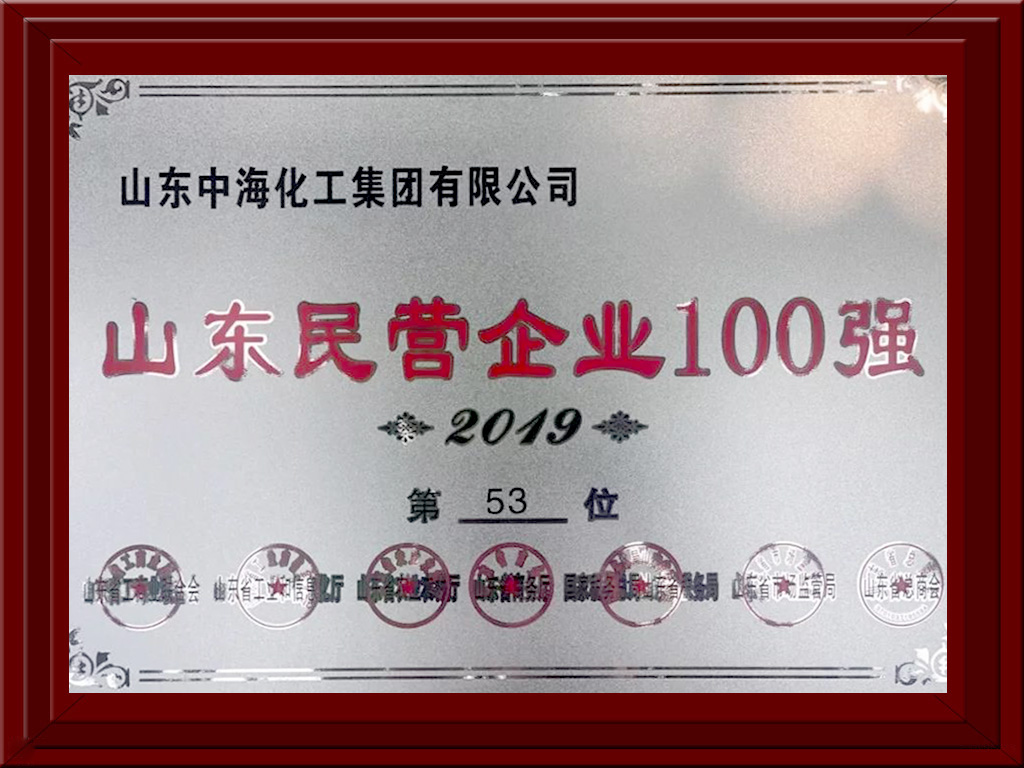 2019山東民營企業(yè)100強(qiáng)